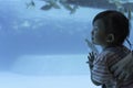 Asian cute child girl happiness looking fish and animal in the underwater sea Royalty Free Stock Photo