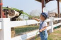 Asian cute new born baby feeding grass for cow iin the farm. Royalty Free Stock Photo