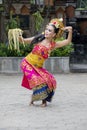 Asian dancer performing traditional Balinese dance Royalty Free Stock Photo