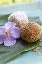 Asian dessert, rice cake