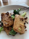 Tofu with pok choi Royalty Free Stock Photo