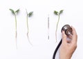 Asian doctor`s hand, stethoscope, glass thermometer and three sprouts.