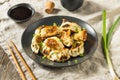 Asian Dumpling Pot Stickers Gyoza