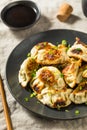 Asian Dumpling Pot Stickers Gyoza