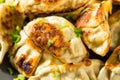 Asian Dumpling Pot Stickers Gyoza