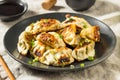 Asian Dumpling Pot Stickers Gyoza