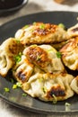 Asian Dumpling Pot Stickers Gyoza