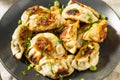 Asian Dumpling Pot Stickers Gyoza