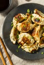 Asian Dumpling Pot Stickers Gyoza