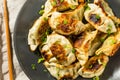 Asian Dumpling Pot Stickers Gyoza