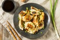 Asian Dumpling Pot Stickers Gyoza