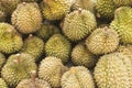 Asian durian fruit in kep cambodia market