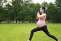 Asian Eastern Chinese young pretty pregnant girl woman do yoga meditation in nature outdoor sunset stand on grass meadows Royalty Free Stock Photo