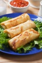 Asian egg rolls Royalty Free Stock Photo