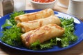 Asian egg rolls Royalty Free Stock Photo