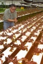 The Asian elder farmers male use a camera to take pictures of organic fields for further analysis in the lab.