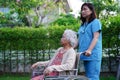 Asian elderly woman disability patient sitting on wheelchair in park, medical concept