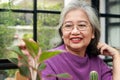 Asian elderly woman living at home She smiled happily planting trees Royalty Free Stock Photo