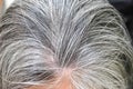 Asian elderly women gray hair beautiful color