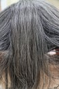 Asian elderly women gray hair beautiful color,hair restoration concept