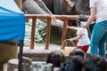 Asian elephant or Asiatic elephant in a zoo in Singapore with some tourist during feeding time