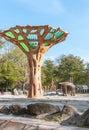 Asian elephant in an aviary at the zoo