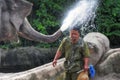 Asian Elephant and its Mahout