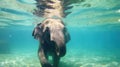 Asian elephant swimming underwater in ocean. Sri Lanka, Asia. Generative AI Royalty Free Stock Photo