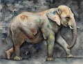 Asian elephant in a zoo watercolor