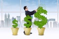 Asian entrepreneur cutting the money tree Royalty Free Stock Photo