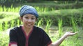Asian ethic woman with native dress smile at her organic rice field