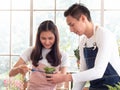 Asian family couple look after their horticultural business planting in glasshouse. Young man holds small tree pot Royalty Free Stock Photo