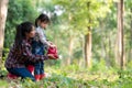 Asian family mom and kid daughter plant sapling tree outdoors in nature spring for reduce global warming growth Royalty Free Stock Photo