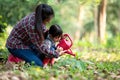 Asian family mom and kid daughter plant sapling tree outdoors in nature spring for reduce global warming growth feature Royalty Free Stock Photo