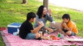 Asian family picnic Royalty Free Stock Photo