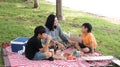 Asian family picnic Royalty Free Stock Photo