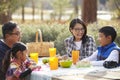 Asian family at a picnic table looking at each other Royalty Free Stock Photo