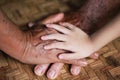 Asian family three hand concept , little child girl, grandmother and grandfather Royalty Free Stock Photo