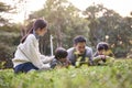 Happy asian family having a good time outdoors in city park Royalty Free Stock Photo