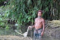 Asian farm worker extracting fibres from retted jute plants and cleaning them in water