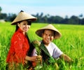 Asian farmer Royalty Free Stock Photo