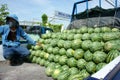 Asian farmer, agriculture field, Vietnamese, watermelon Royalty Free Stock Photo