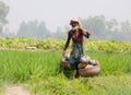 Asian farmer carrying vegetables with basket