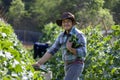 Asian farmer is freshly harvest healthy cucumber or zucchini from the vegetable organics farm approach for local gardener and