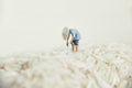 Asian farmer harvesting rice Royalty Free Stock Photo