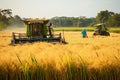 Asian farmer harvests in rice field, inspect and verifies agricultural innovation and cultivation concepts.by Generative