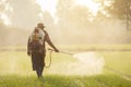 Asian farmer with machine and spraying chemical or fertilizer to young green rice field