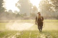 Asian farmer with machine and spraying chemical or fertilizer to young green rice field