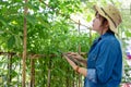 Asian farmer is recording data on a tablet at her farm