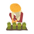 Asian Farmer in Straw Conical Hat Caring for Plants, Peasants Character Planting Rice on Field Cartoon Style Vector